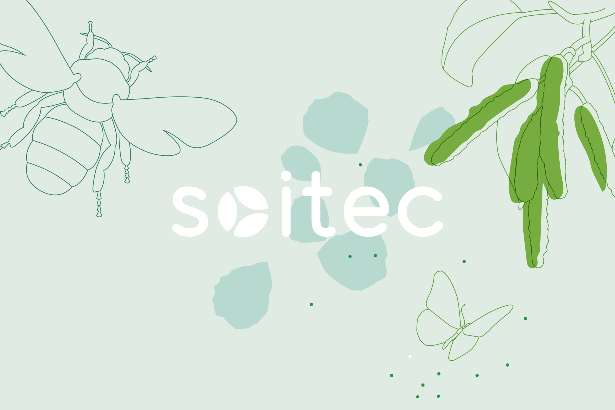 Création d'une série de panneaux pédagogiques : Soitec - Panneaux pédagogiques Nature