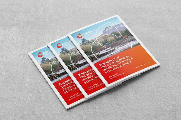 Réalisation d'un rapport du comité de mission : Groupe Cheval - Rapport de mission